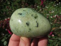 Polished Highly Selected Leopard Stone Green & Blue Dot Patterned Free Forms - Sold per 1 kg  From Zimbabwe - TopRock