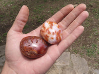 Polished Small Carnelian Agate Palm Stones  x 28 From Madagascar - TopRock