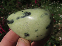 Polished Highly Selected Leopard Stone Green & Blue Dot Patterned Free Forms - Sold per 1 kg  From Zimbabwe - TopRock