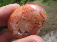 Polished Small Carnelian Agate Palm Stones  x 28 From Madagascar - TopRock