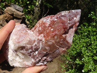 Natural Red Hematoid Phantom Quartz Crystals  x 2 From Karoi, Zimbabwe - Toprock Gemstones and Minerals 