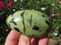 Polished Highly Selected Leopard Stone Green & Blue Dot Patterned Free Forms - Sold per 1 kg  From Zimbabwe - TopRock