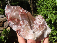 Natural Red Hematoid Phantom Quartz Crystals  x 2 From Karoi, Zimbabwe - Toprock Gemstones and Minerals 