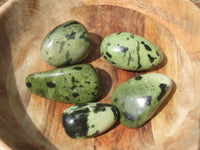 Polished Highly Selected Leopard Stone Green & Blue Dot Patterned Free Forms - Sold per 1 kg  From Zimbabwe - TopRock