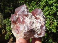 Natural Red Hematoid Phantom Quartz Crystals  x 2 From Karoi, Zimbabwe - Toprock Gemstones and Minerals 