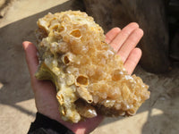 Natural Golden Limonite Quartz Cluster x 1 From Zambia