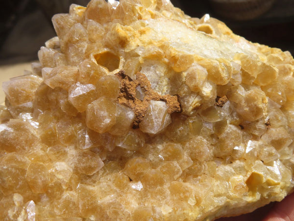 Natural Golden Limonite Quartz Cluster x 1 From Zambia