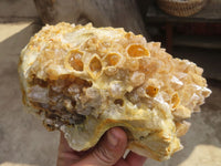 Natural Golden Limonite Quartz Cluster x 1 From Zambia