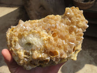 Natural Golden Limonite Quartz Cluster x 1 From Zambia