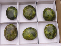 Polished Extra Large Green Opal Palm Stones  x 6 From Antsirabe, Madagascar - Toprock Gemstones and Minerals 