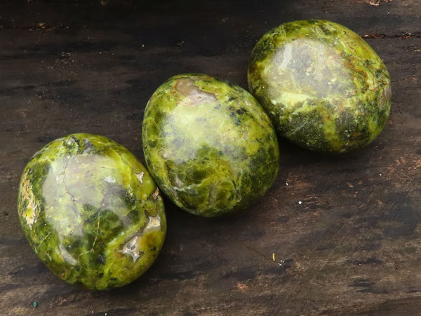 Polished Extra Large Green Opal Palm Stones  x 6 From Antsirabe, Madagascar - Toprock Gemstones and Minerals 