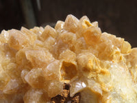 Natural Golden Limonite Quartz Cluster x 1 From Zambia