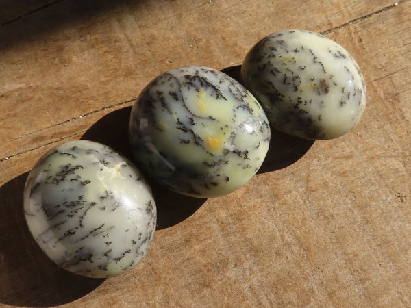 Polished Dendritic Opal Galet / Palm Stone x 24 from Madagascar