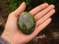 Polished Extra Large Green Opal Palm Stones  x 6 From Antsirabe, Madagascar - Toprock Gemstones and Minerals 