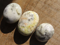 Polished Dendritic Opal Galet / Palm Stone x 24 from Madagascar