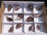 Natural Window Amethyst Crystals  x 12 From Chiredzi, Zimbabwe