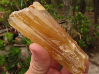 Natural Honey Aragonite Etched & Cobbed Pieces  x 6 From Namibia