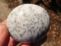 Polished Dendritic Opal Galet / Palm Stone x 24 from Madagascar