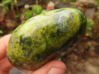 Polished Extra Large Green Opal Palm Stones  x 6 From Antsirabe, Madagascar - Toprock Gemstones and Minerals 