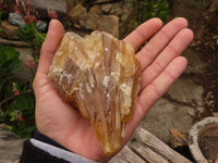 Natural Honey Aragonite Etched & Cobbed Pieces  x 6 From Namibia