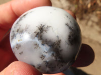 Polished Dendritic Opal Galet / Palm Stone x 24 from Madagascar