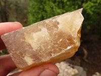 Natural Honey Aragonite Etched & Cobbed Pieces  x 6 From Namibia