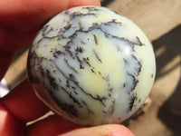 Polished Dendritic Opal Galet / Palm Stone x 24 from Madagascar