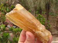 Natural Honey Aragonite Etched & Cobbed Pieces  x 6 From Namibia