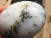 Polished Dendritic Opal Galet / Palm Stone x 24 from Madagascar