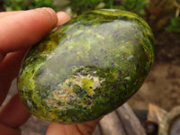 Polished Extra Large Green Opal Palm Stones  x 6 From Antsirabe, Madagascar - Toprock Gemstones and Minerals 