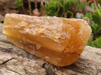 Natural Honey Aragonite Etched & Cobbed Pieces  x 6 From Namibia