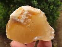 Natural Honey Aragonite Etched & Cobbed Pieces  x 6 From Namibia