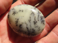 Polished Dendritic Opal Galet / Palm Stone x 24 from Madagascar