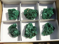 Natural Chatoyant Silky Malachite Specimens  x 6 From Kasompe, Congo - Toprock Gemstones and Minerals 