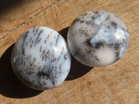 Polished Dendritic Opal Galet / Palm Stone x 24 from Madagascar