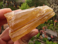 Natural Honey Aragonite Etched & Cobbed Pieces  x 6 From Namibia