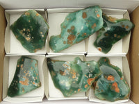 Polished One Side Polished Emerald Mtorolite Plates  x 6 From Zimbabwe