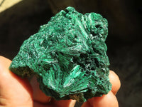 Natural Chatoyant Silky Malachite Specimens  x 6 From Kasompe, Congo - Toprock Gemstones and Minerals 