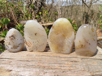 Polished Dendritic Agate Standing Free Forms  x 4 From Moralambo, Madagascar