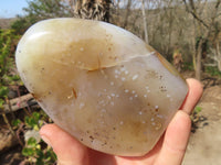 Polished Dendritic Agate Standing Free Forms  x 4 From Moralambo, Madagascar