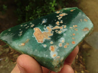 Polished One Side Polished Emerald Mtorolite Plates  x 6 From Zimbabwe