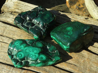 Polished Malachite Free Forms x 3 From Kolwezi, Congo