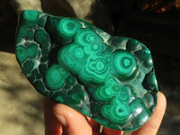 Polished Malachite Free Forms x 3 From Kolwezi, Congo