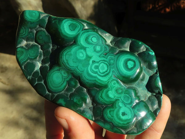 Polished Malachite Free Forms x 3 From Kolwezi, Congo