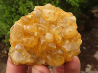 Natural Limonite Quartz Clusters x 12 From Solwezi, Zambia