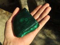 Polished Malachite Free Forms x 3 From Kolwezi, Congo