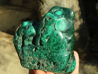 Polished Malachite Free Forms x 3 From Kolwezi, Congo