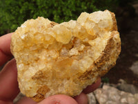 Natural Limonite Quartz Clusters x 12 From Solwezi, Zambia