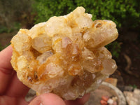 Natural Limonite Quartz Clusters x 12 From Solwezi, Zambia