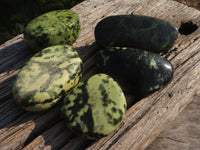 Polished Selected Leopard Stone Free Forms With Nice Colour & Patterns  x 5 From Zimbabwe - TopRock